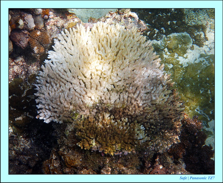 2012 - 07 - Boracay plongee - 18